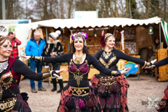 12.03.23 Anima Serpentis