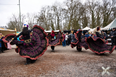 AnimaSerpentis120323_0028