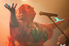 Kupfergold120424_0024