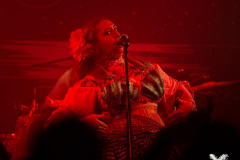 Kupfergold120424_0038