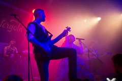 Kupfergold120424_0049