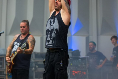 Fuchsteufelswild120823_0033
