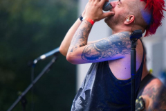 Fuchsteufelswild120823_0038