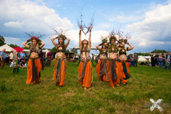 AnimaSerpentisMMLebach130523_0028