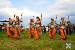 AnimaSerpentisMMLebach130523_0046