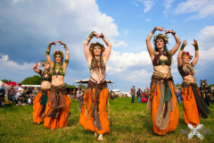 AnimaSerpentisMMLebach130523_0092