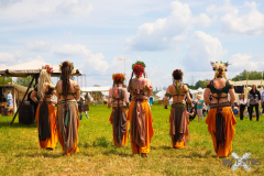 AnimaSerpentisMMLebach140523_0029