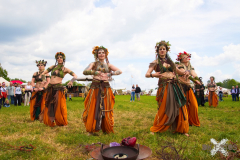 AnimaSerpentisMMLebach140523_0060