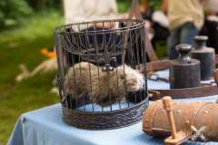 MMOmmersheim130724_0022