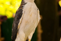 MMOmmersheim140724_0004