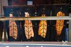 MMOmmersheim140724_0031