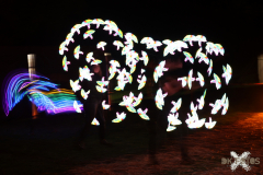 101521_50_078X0A0997
