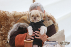 101615_29_52IMG_9619