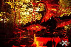 PLWM261123_0109