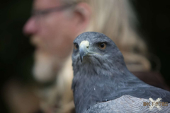 Skyhunters220723_0015