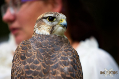 Skyhunters220723_0021