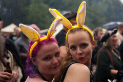 Kupfergold270724_0030