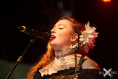 Kupfergold270724_0035