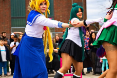 AnimaSerpentis270424_0002