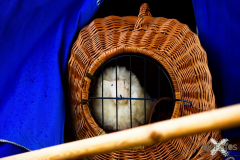 Markt290723_0022