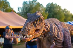Raptorex280723_0002