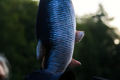 TheAngrySisters290723_0028