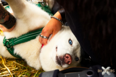 Morgenmesse300723_0007