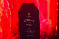 Halloween311023_0008