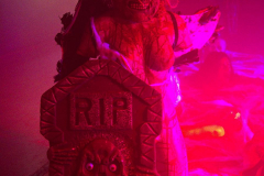 Halloween311023_0015
