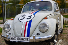 KMPCarsandCosplay2025_41