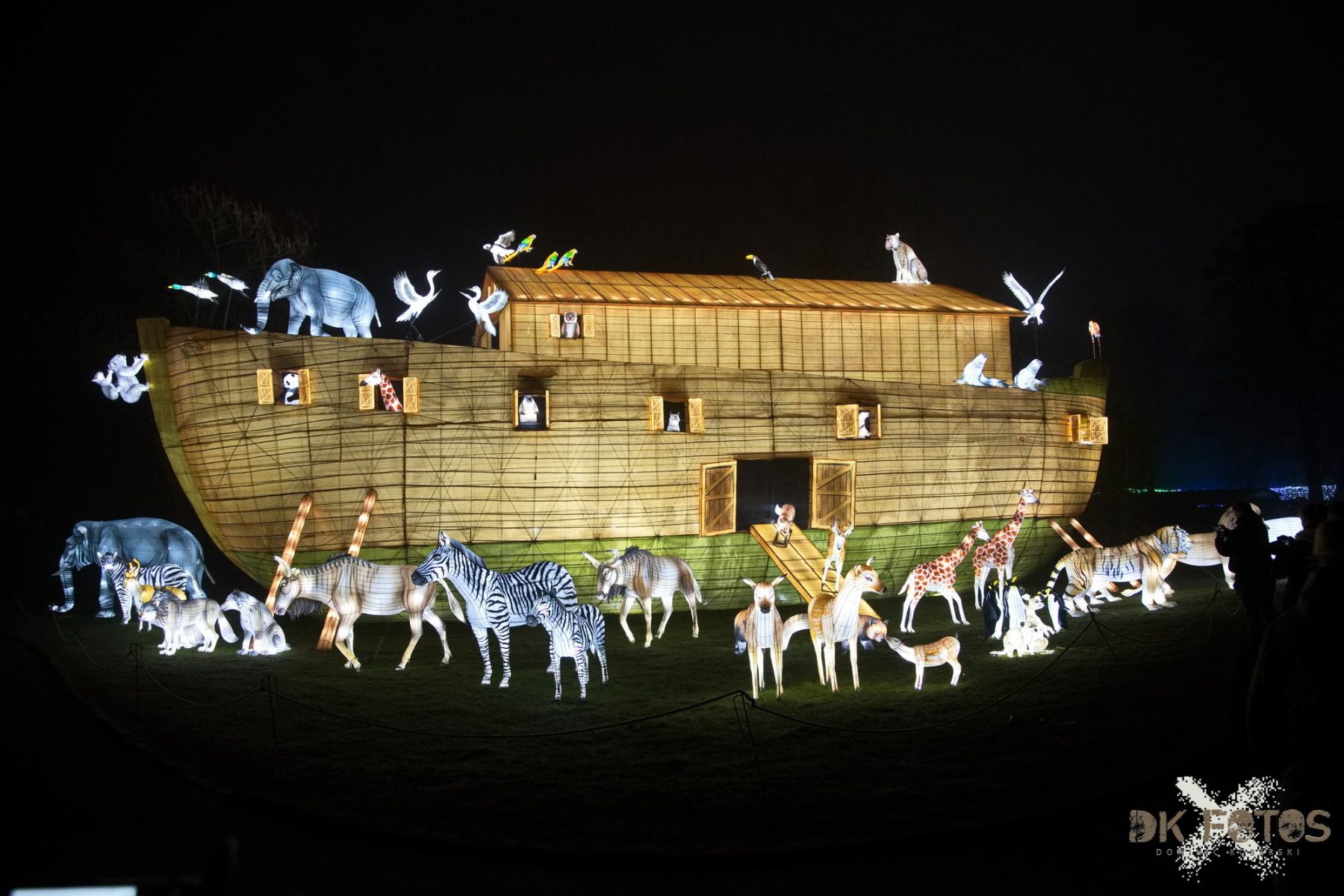 ChinaLights_20250119_0169