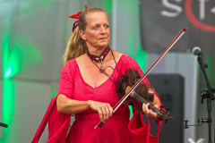 DieStreuner170824_0004