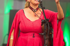 DieStreuner170824_0006