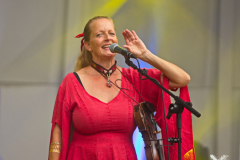 DieStreuner170824_0017