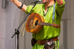 DieStreuner170824_0023