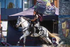 EHS_MPSLuhmuehlen2025_019