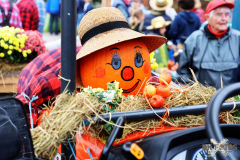 092515_11_038X0A9118