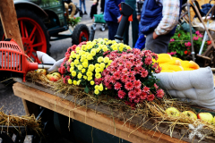 092515_12_018X0A9123