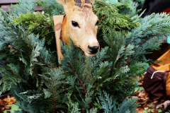 092515_13_188X0A9128