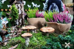 092515_13_298X0A9129