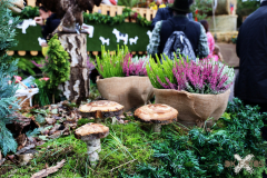 092515_13_308X0A9130