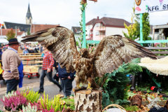 092515_13_528X0A9132