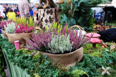 092515_13_548X0A9133