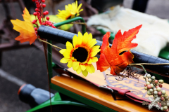 092515_14_138X0A9135