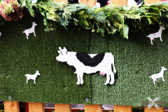 092515_15_018X0A9141