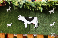 092515_15_028X0A9142