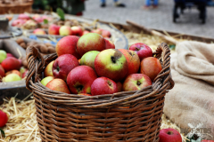 092515_18_088X0A9153