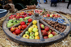 092515_18_138X0A9154