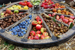 092515_18_228X0A9156