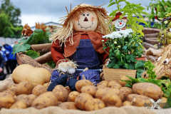 092515_18_408X0A9158